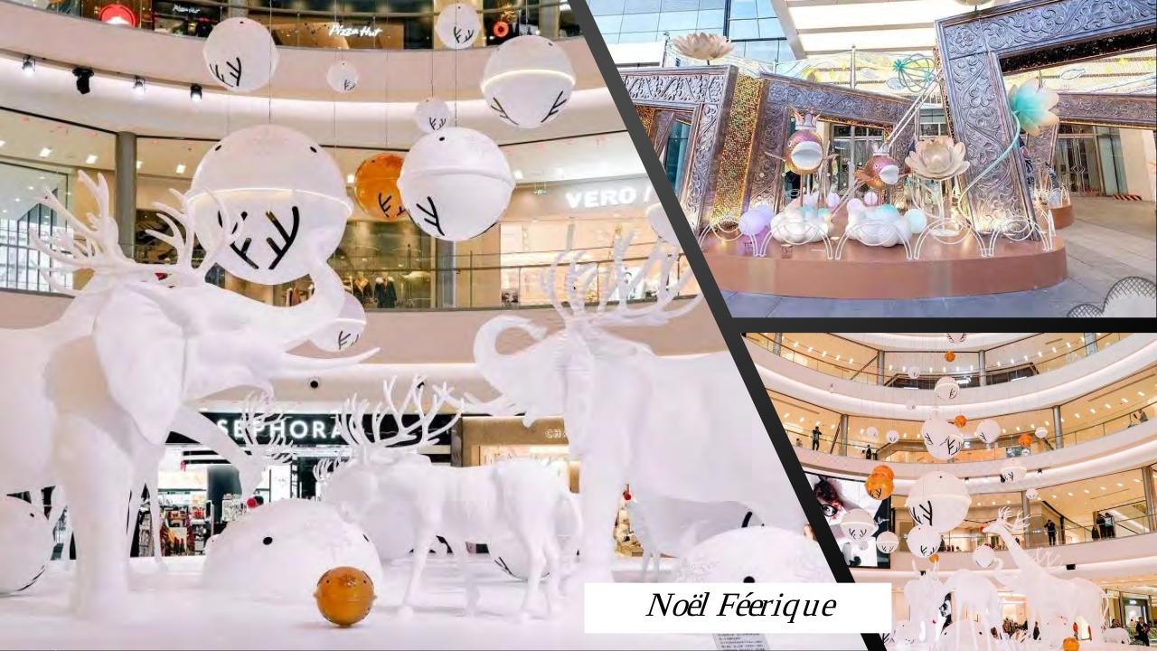 Aperçu du fichier PDF presentation-2020-mailling---v2.pdf