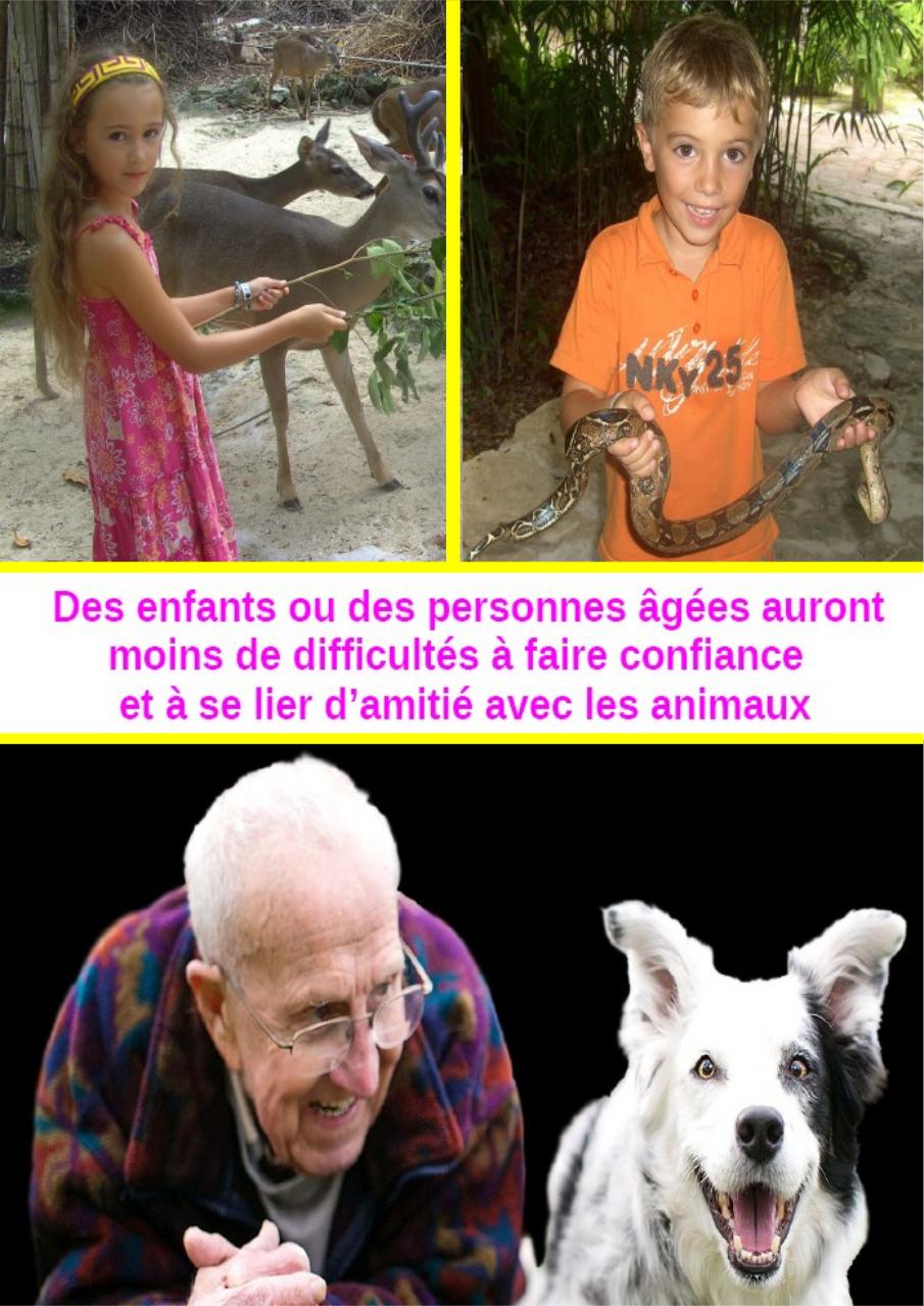 Aperçu du fichier PDF cbinet-mag-marches.pdf