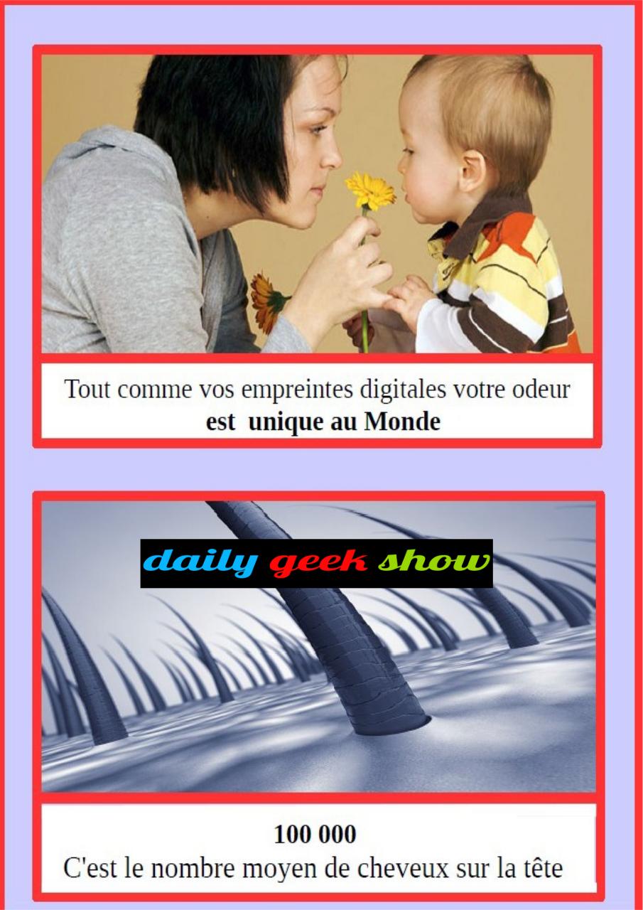 Aperçu du fichier PDF cbinet-mag-marches.pdf