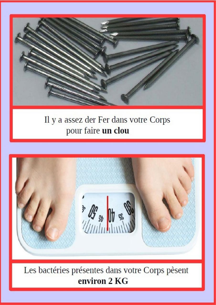 Aperçu du fichier PDF cbinet-mag-marches.pdf