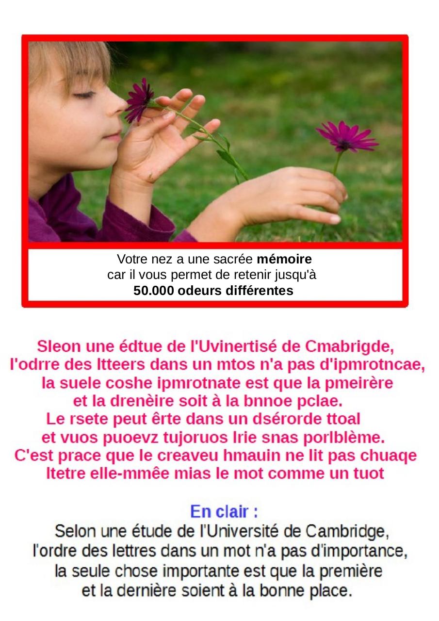 Aperçu du fichier PDF cbinet-mag-marches.pdf