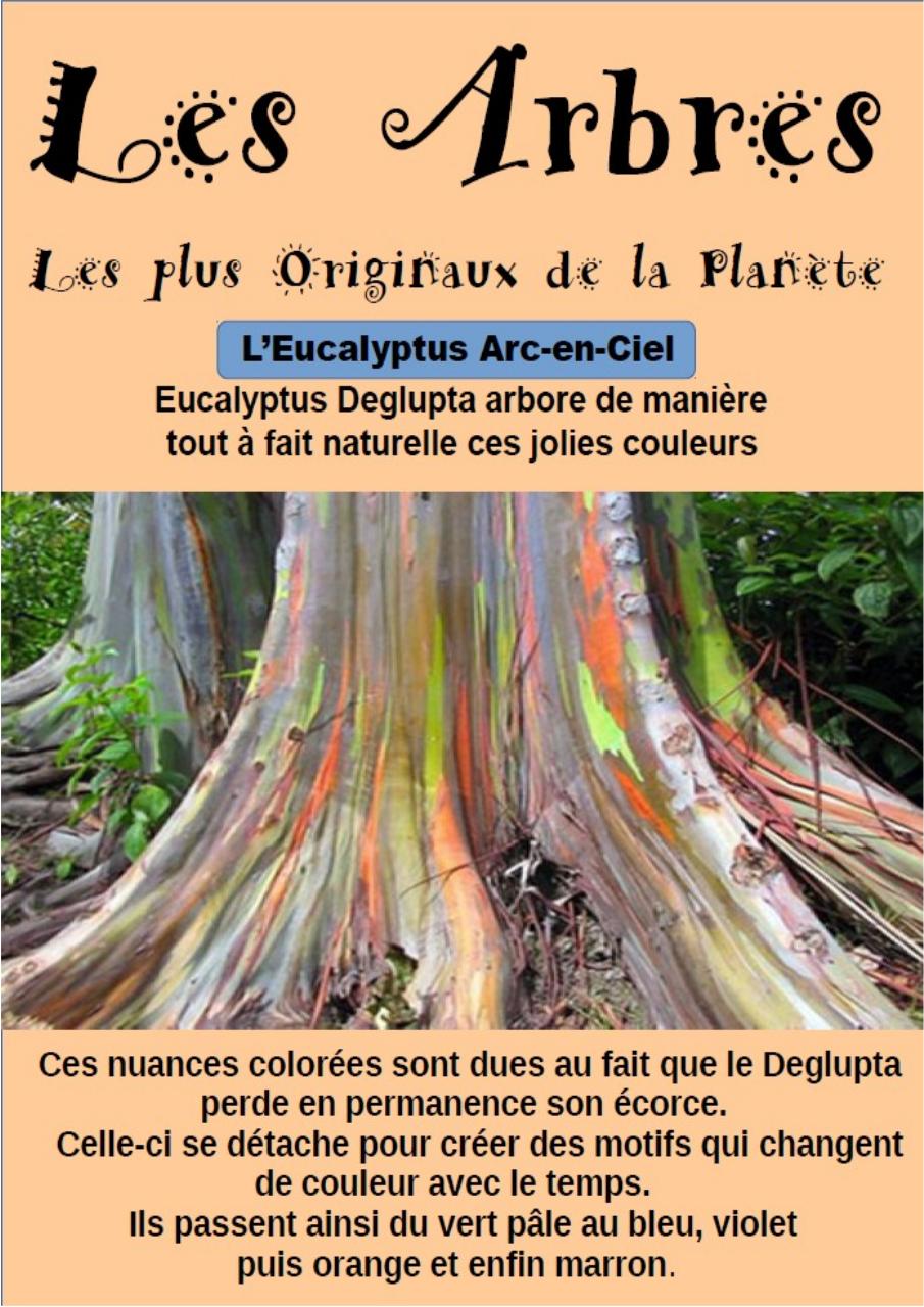Aperçu du fichier PDF cbinet-mag-marches.pdf