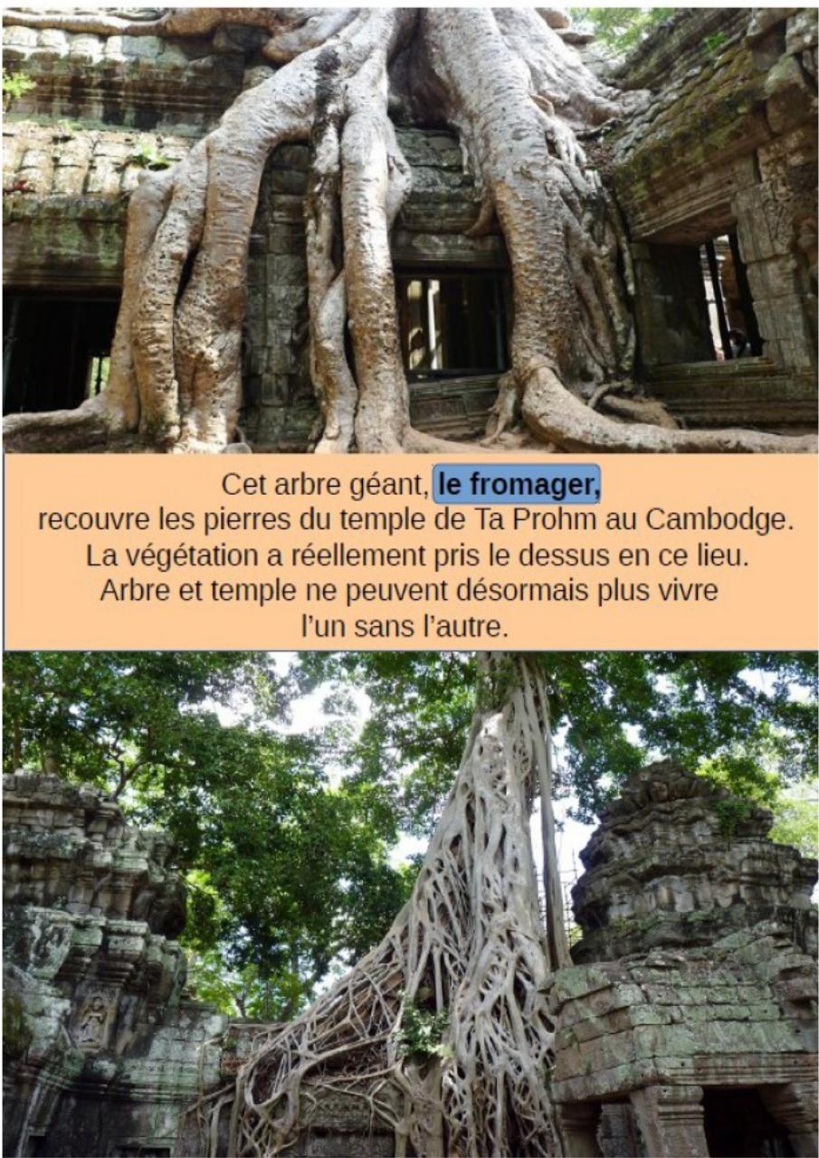 Aperçu du fichier PDF cbinet-mag-marches.pdf