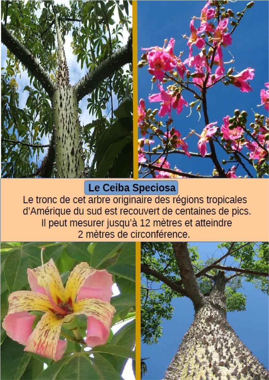 Aperçu du fichier PDF cbinet-mag-marches.pdf