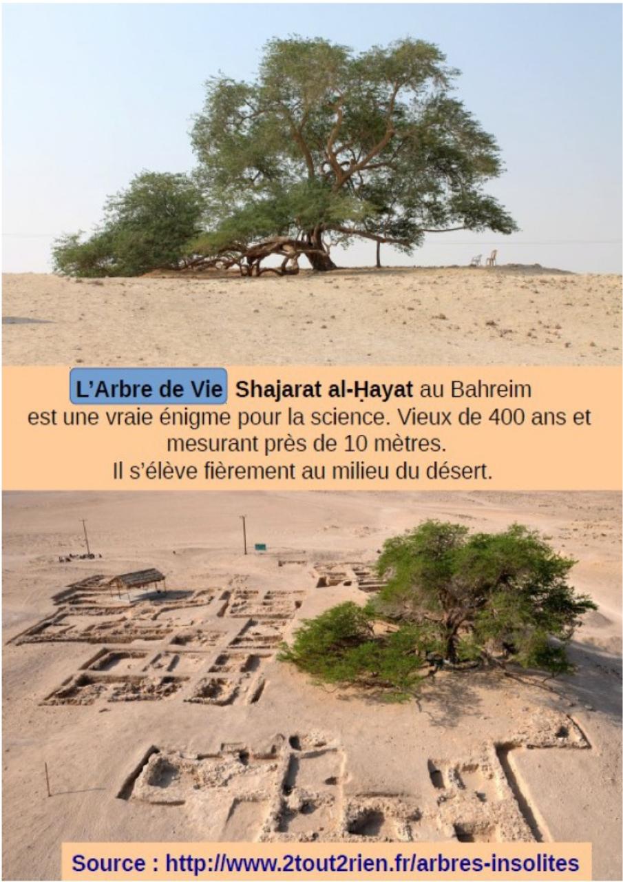 Aperçu du fichier PDF cbinet-mag-marches.pdf