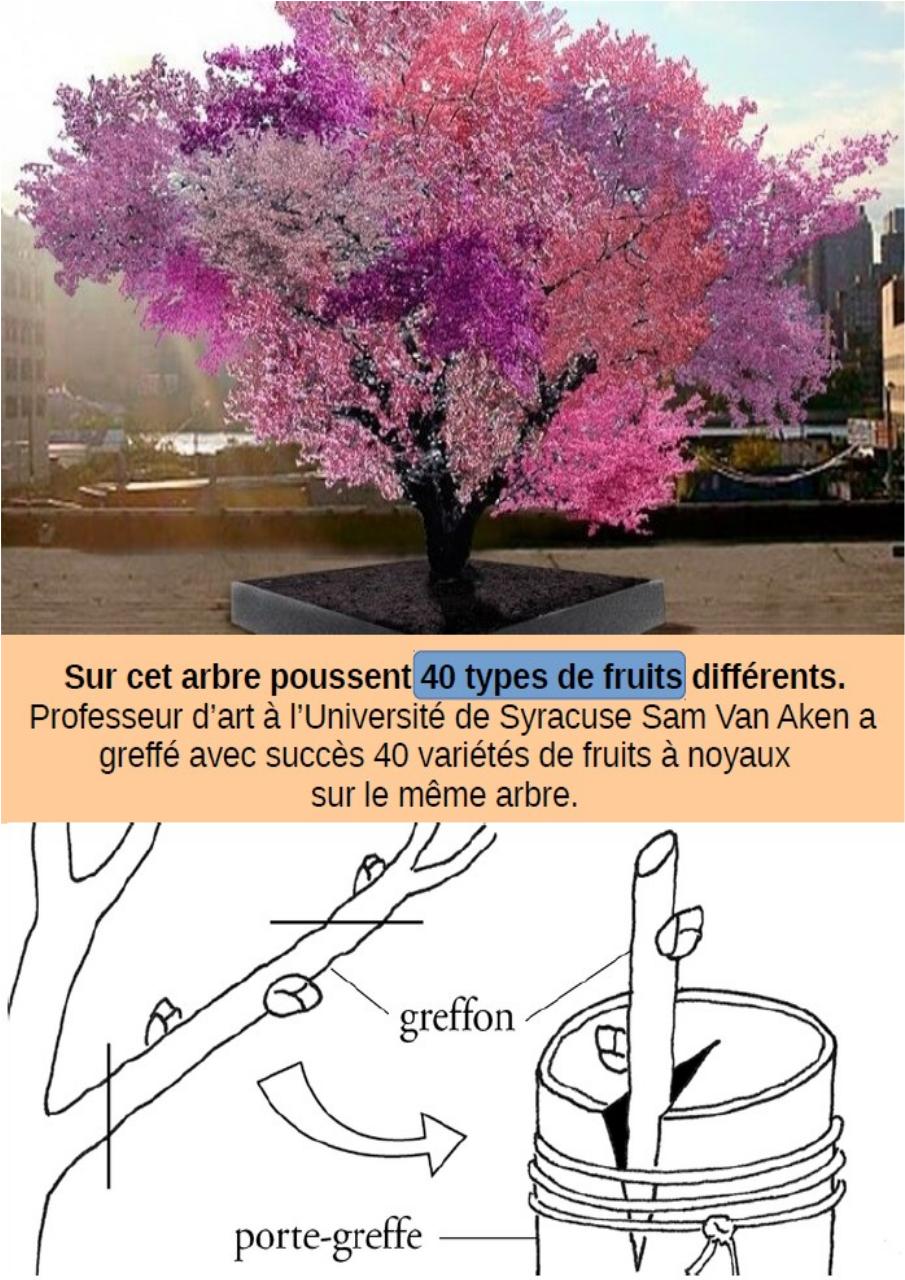 Aperçu du fichier PDF cbinet-mag-marches.pdf