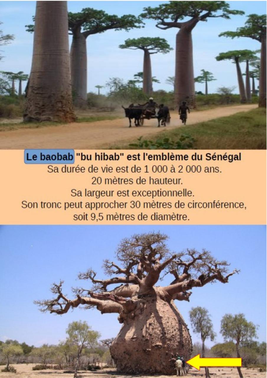 Aperçu du fichier PDF cbinet-mag-marches.pdf