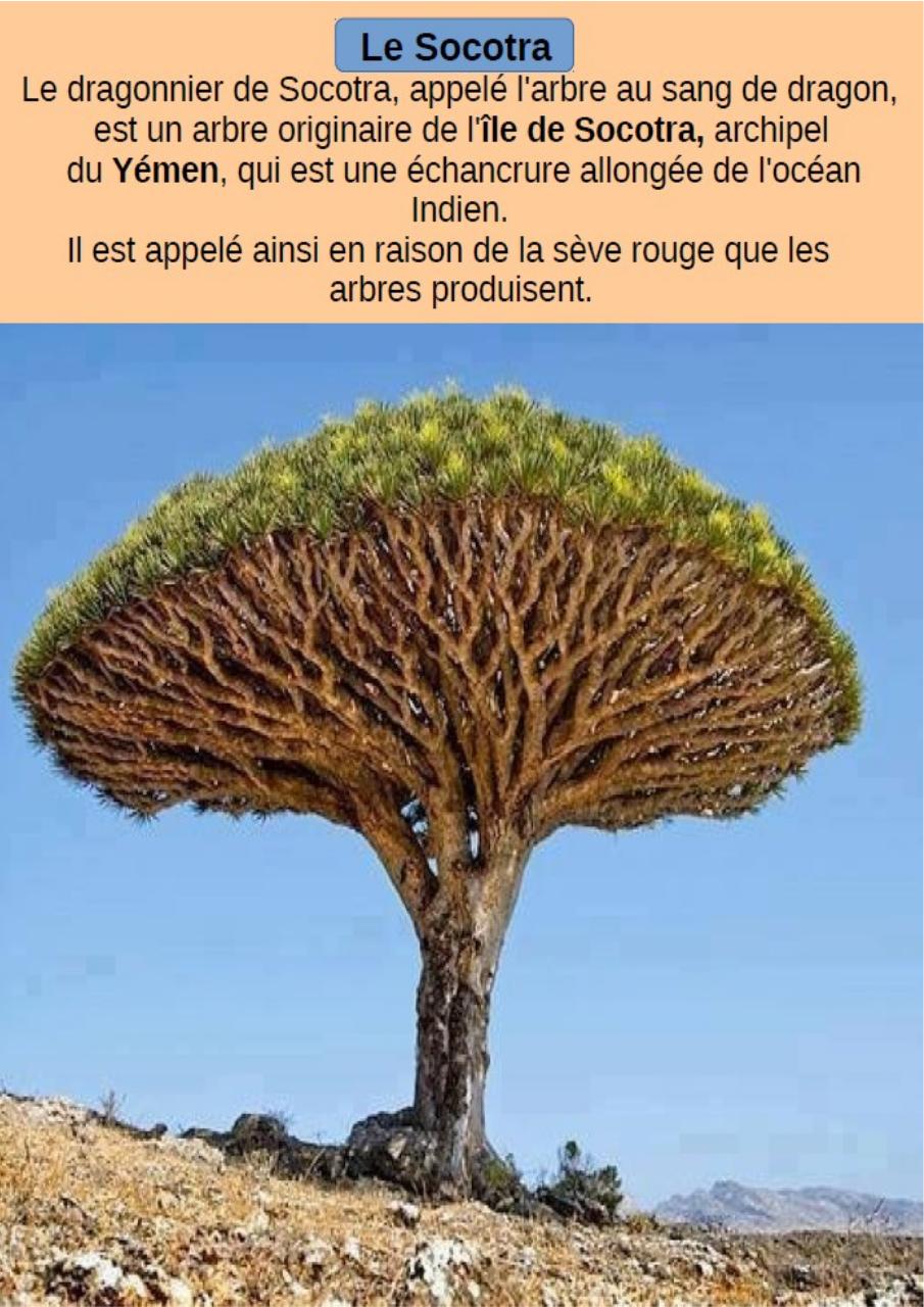 Aperçu du fichier PDF cbinet-mag-marches.pdf