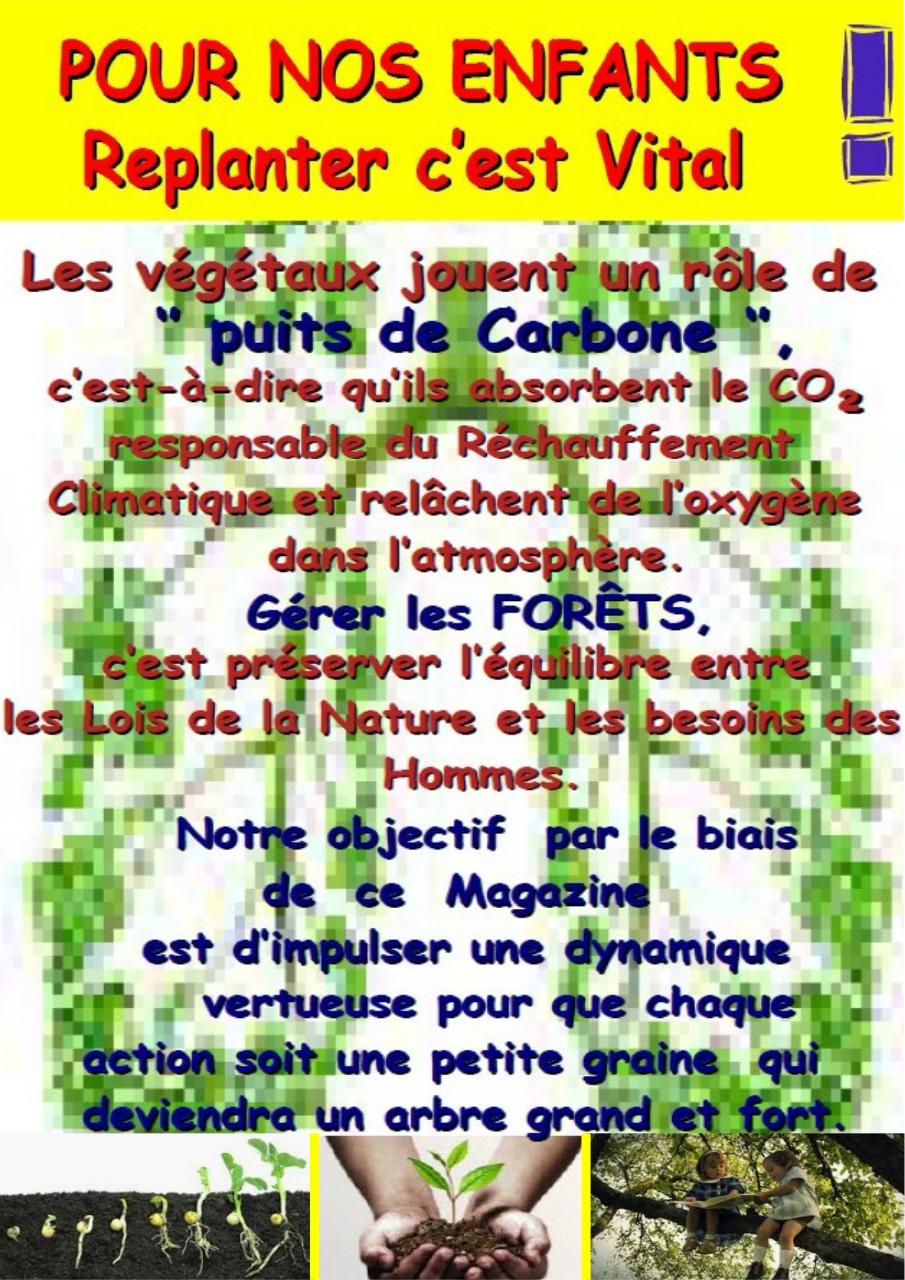 Aperçu du fichier PDF cbinet-mag-marches.pdf